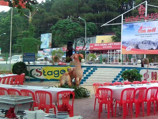 Hoa Phuong Hotel Hai Phong Eksteriør bilde